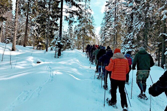 Snowshoe Tour in Winter Wonderland - Oslo - What’s included vs. what you must bring