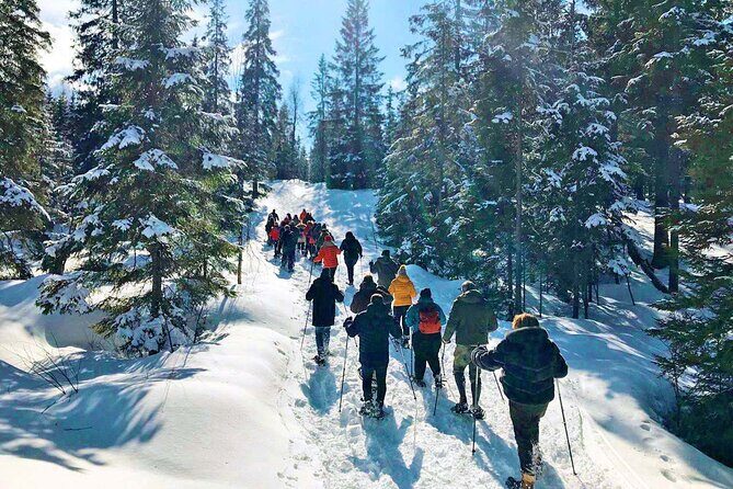 Snowshoe Tour in Winter Wonderland - Oslo - Who should book this Oslo snowshoe tour (and who should skip)