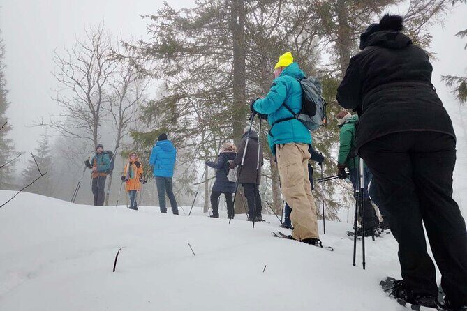 Snowshoe Tour in Winter Wonderland - Oslo - Should you book? My honest recommendation