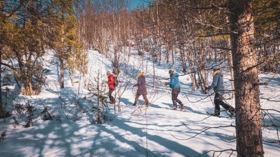 Snowshoeing Adventure to the Enchanting Frozen Waterfall - Price and value: why $187 can actually make sense
