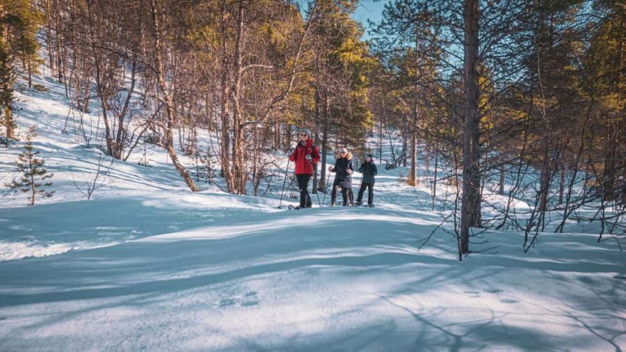 Snowshoeing Adventure to the Enchanting Frozen Waterfall - What to pack: your cold-weather checklist that keeps the tour fun