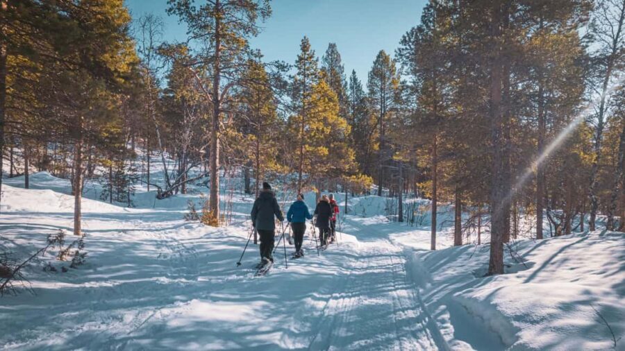 Snowshoeing Adventure to the Enchanting Frozen Waterfall - Should you book the Alta frozen waterfall snowshoe tour?