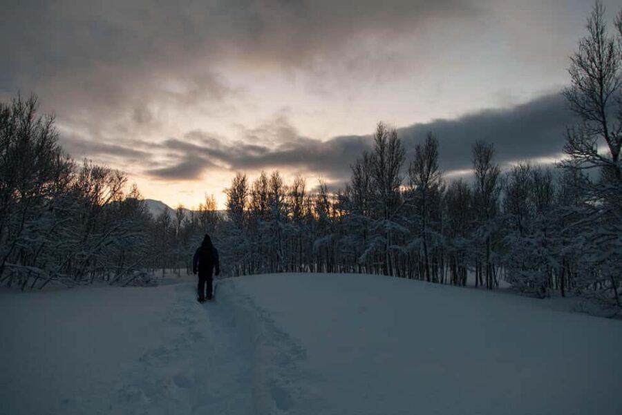 Snowshoeing and intimate discovery of Lofoten in French - Snowshoeing in Lofoten, but with French clarity
