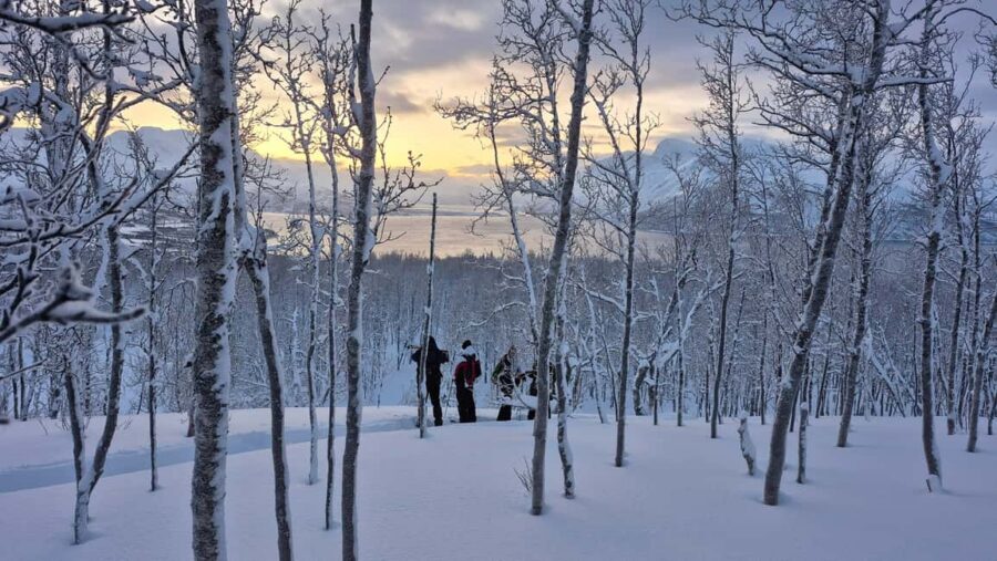 Snowshoeing and intimate discovery of Lofoten in French - Gear provided: what you get and how it helps