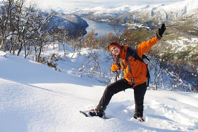 Snowshoeing - Winter Day Trip in Bodo, Northern Norway - Key Highlights You’ll Feel on the Trail