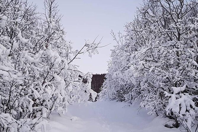 Snowshoeing With A View - Hompan Views: The Big Payoff Route