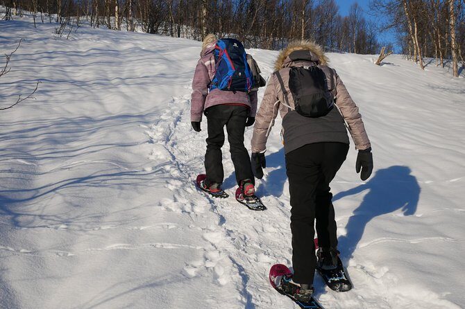 Snowshoeing With A View - The Descent Back to Basecamp: Where Things Get Fun