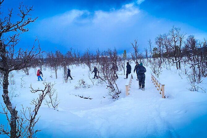 Snowshoeing with Aurora Crystal-Lavvo Overnight Stay from Tromsø - Northern Lights at the base camp: what you’re really betting on