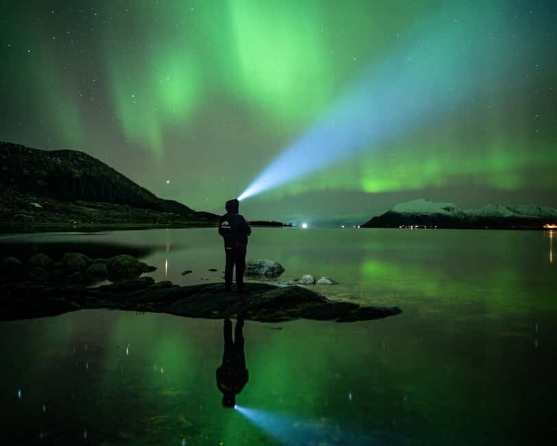 Sortland: Small Group Northern Lights Chase by Car - Viewing stops: what to do at each place (and what not to do)