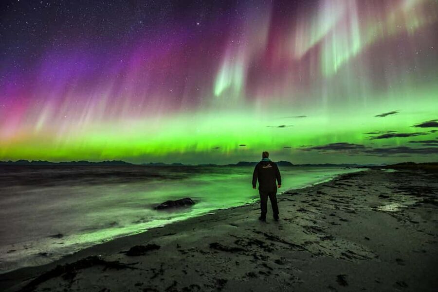 Sortland: Small Group Northern Lights Chase by Car - What to bring: camera, warm layers, and the tripod question
