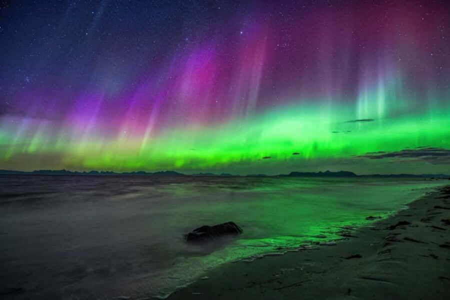 Sortland: Small Group Northern Lights Chase by Car - Price and value: is $157 for 3 hours fair?
