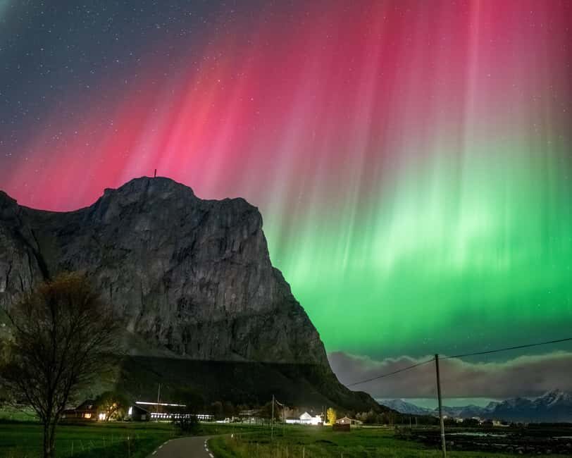 Sortland: Small Group Northern Lights Chase by Car - The heated van setup: comfort, space, and a small group feel