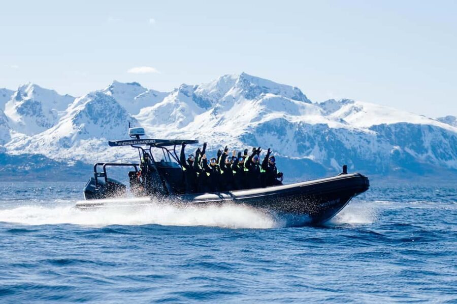 Sortland: Trollfjord RIB Boat Tour - Key things to know before you go