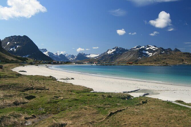 Special Summer Cruise Bus Tour of Lofoten - Price and Value: What $156.45 Buys You in Real Terms