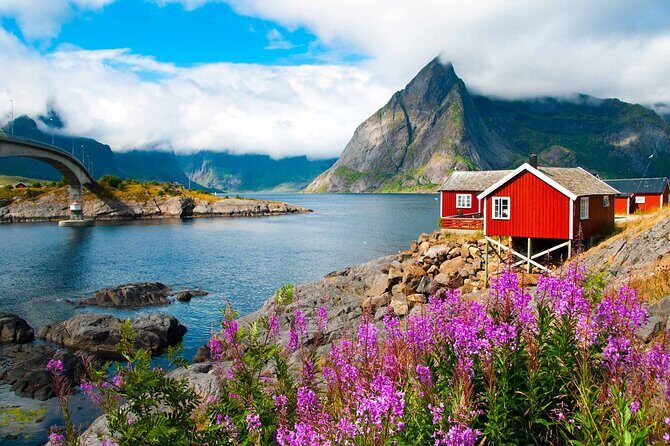 Special Summer Cruise Bus Tour of Lofoten - Reine: The Tiny Village That Draws Artists