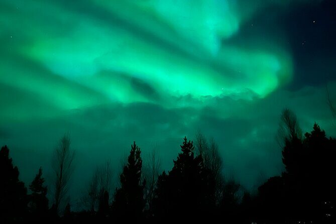 Starlit Adventure Tour in Tromsø – With Professional Photographer - Vikran in Tromsø: where the stars actually have room