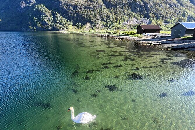 Stavanger Day Trip: Nature, Culture & Food - The lunch is the real recovery plan (and it’s included)