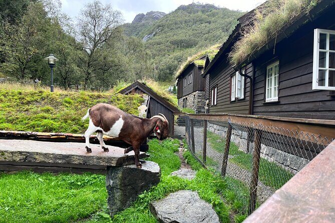 Stavanger Day Trip: Nature, Culture & Food - Small-group pace and Sean’s style of guiding