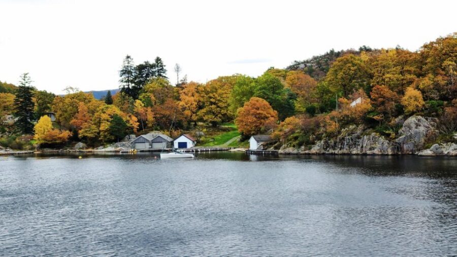 Stavanger: Electric Fjord Cruise to Lysefjord & Preikestolen - The boat experience: warm cabin, spacious decks, and included extras