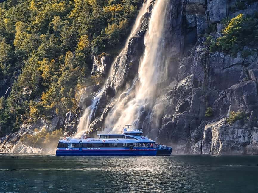 Stavanger: Electric Fjord Cruise to Lysefjord & Preikestolen - Weather and wildlife: seals, goats, orcas, and how to dress like a local
