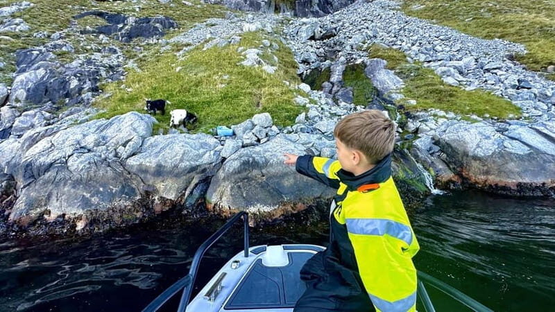 Stavanger: Guided Lysefjord Cruise to Pulpit Rock - The Lysefjord bridge entrance: legends start before the cliffs do