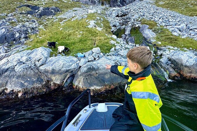 Stavanger: Guided Lysefjord Safari on Speedboat - Lysefjordsenteret and the Minibus Switch: Snacks and a Breather