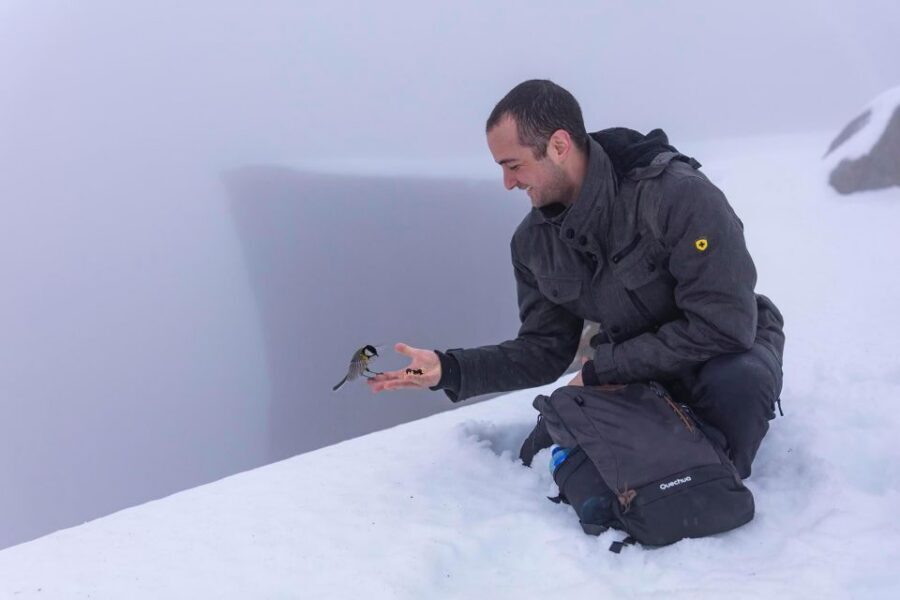 Stavanger: Preikestolen Winter Hike + Hot Lunch - Key highlights worth getting excited about