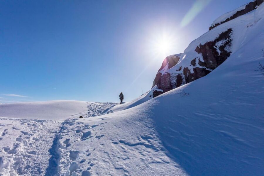 Stavanger: Preikestolen Winter Hike + Hot Lunch - Villa Rosehagen hot lunch: warm soup after a cold climb