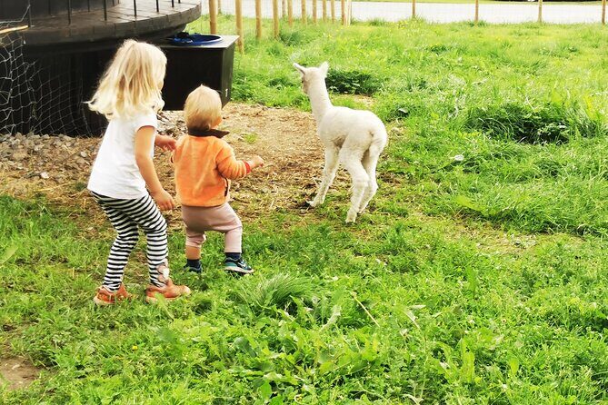 Steim Farm Experience in Vik, Norway - Who this farm visit is best for (and who might want a different fit)