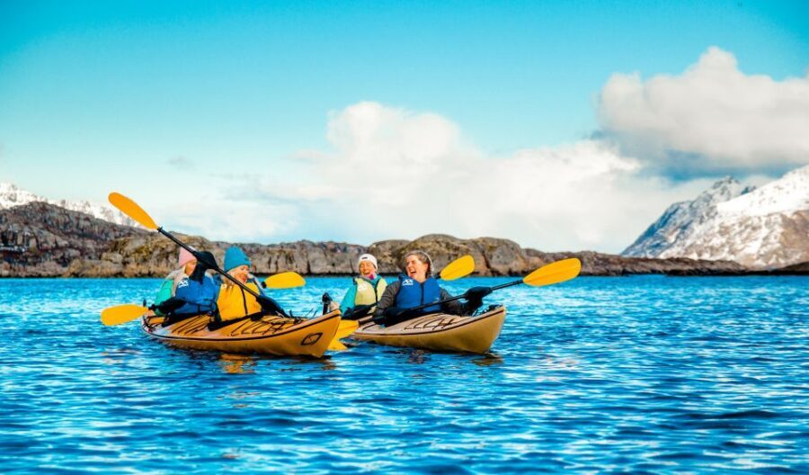 Svolvaer: 2-Hour Winter Kayaking Adventure - The shoreline part: why paddling in winter beats a photo stop