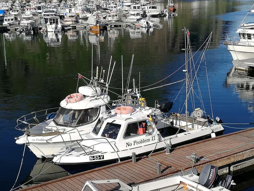 Svolvaer: Fishing Trips with a personal touch - Key Highlights Worth Your Attention