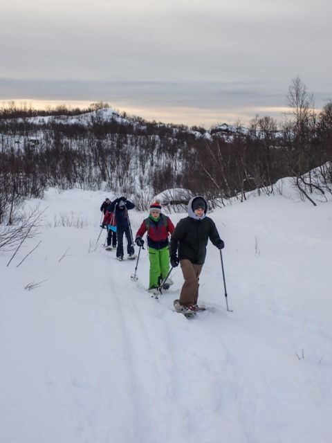 Svolvaer: Half-Day Guided Snowshoeing Tour - The 4-hour rhythm: how a half-day keeps you energized