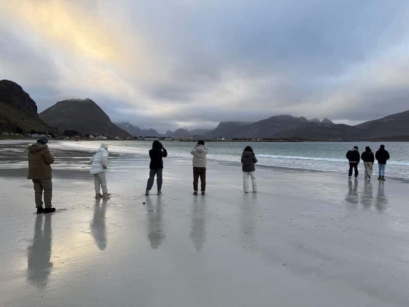 Svolvær: Lofoten Islands Full-Day Guided Tour - Price and Value: What $272 Covers (and Why It Can Be Worth It)