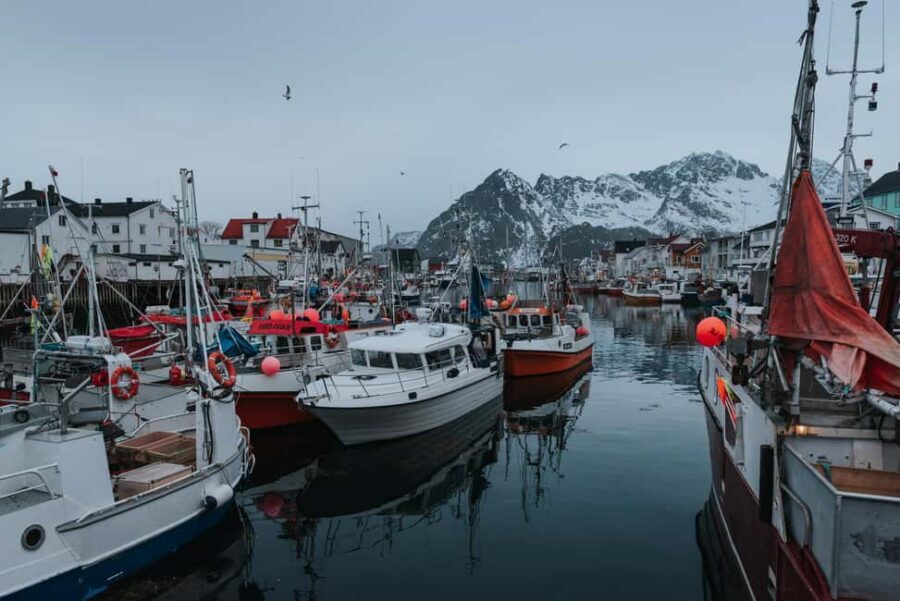 Svolvær: Lofoten Scenic Sightseeing Tour: Half day tour - Six Hours, Four Worlds: How the Svolvær Route Flows