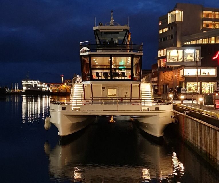 Svolvær: Northern Lights and Full Steam Cruise with Tasting - Key things I’d plan around