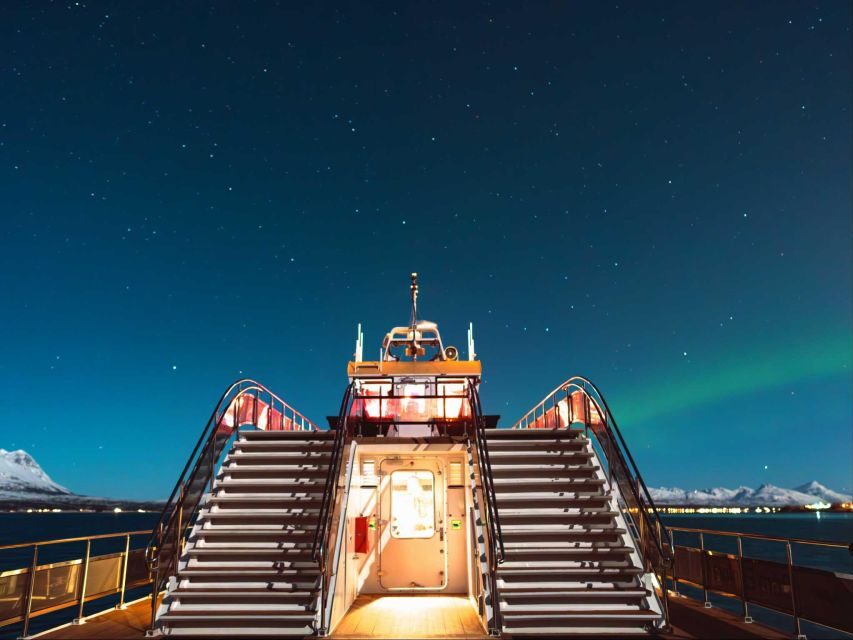 Svolvær: Northern Lights and Full Steam Cruise with Tasting - Who should book this cruise