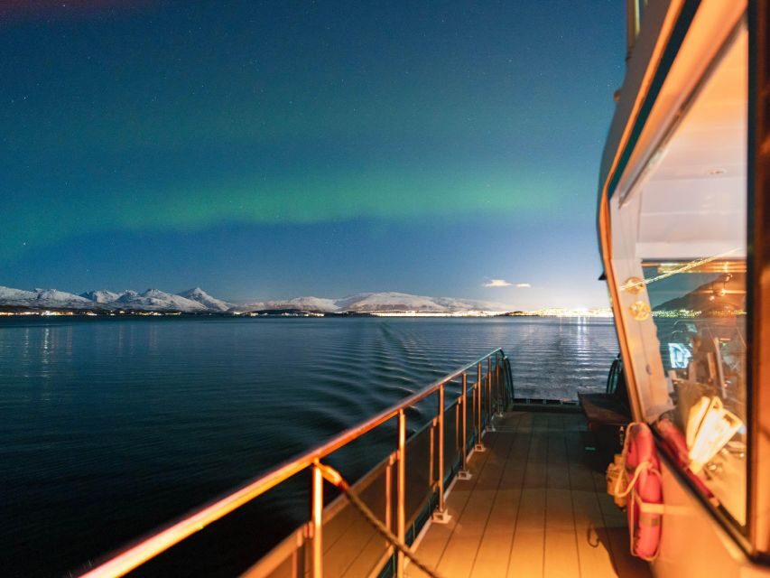 Svolvær: Northern Lights and Full Steam Cruise with Tasting - How the Svolvær to Henningsvær cruise really plays out