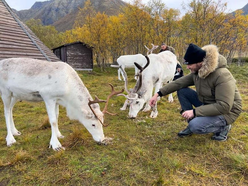 Svolvær: Sami Culture and Reindeer Experience - Lavvu at the Fire: Sami Culture Lessons You Can Actually Use