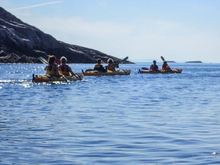 Svolvaer: Sea Kayaking Experience - Key Things You’ll Notice Right Away