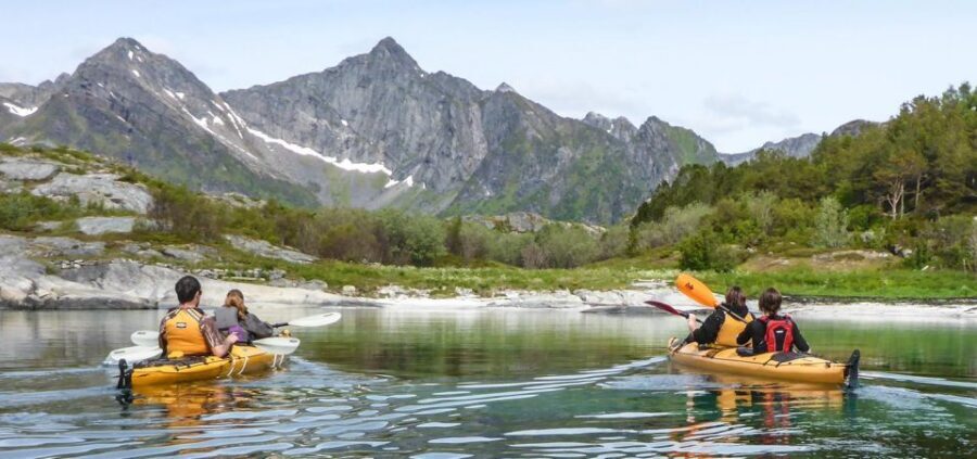 Svolvaer: Sea Kayaking Experience - Wildlife on the Water: Seabirds and the White-Tailed Sea Eagle
