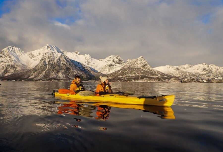Svolvaer: Sea Kayaking Experience - Price and Value: What $163 Buys You in Real Terms