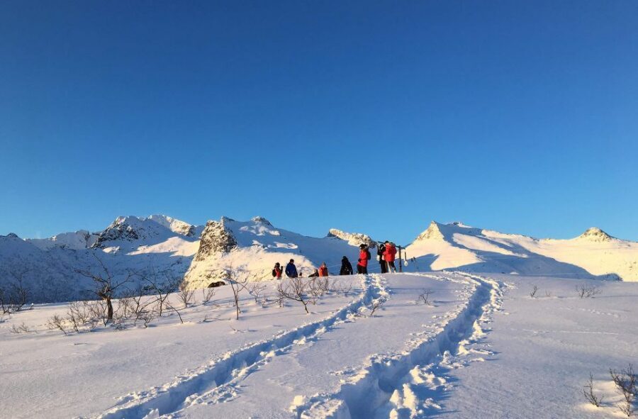 Svolvær: Snowshoe Nature Explorer - Key things to know before you go
