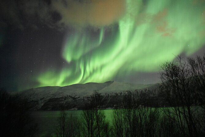 The Aurora Tour - small group, northern lights - Value for Money: Paying for Access, Comfort, and a Real Hunt