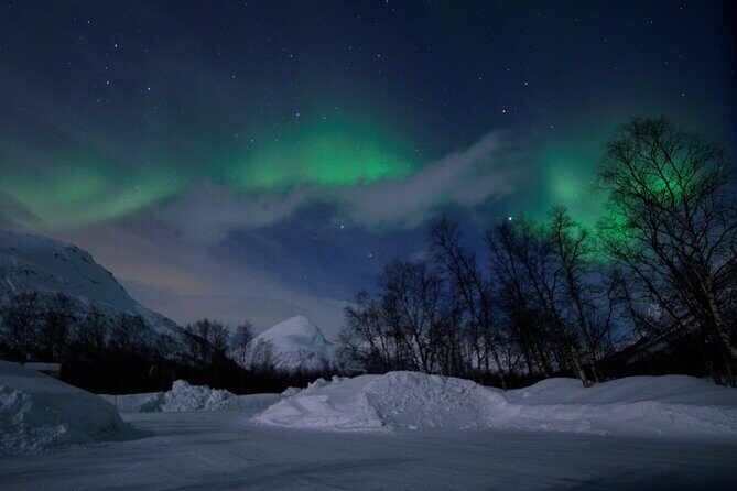 The Aurora Tour - VIP trip for northern lights, aurora borealis - Aurora hunting plus Tromsø stories: a guide’s job, not luck