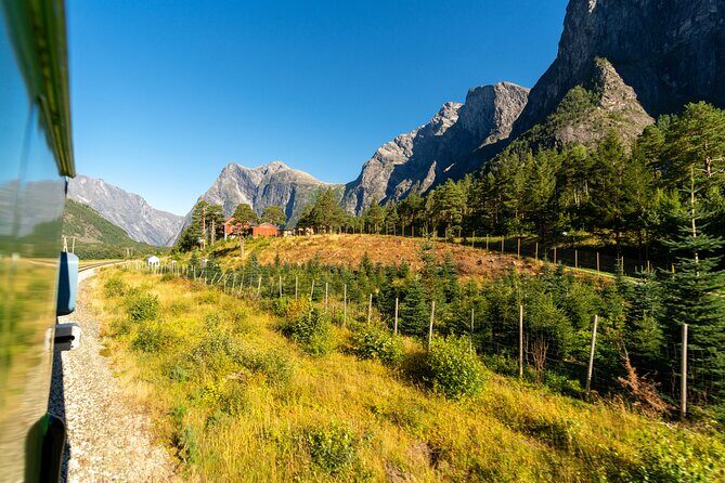 The Golden Train on Rauma Railway in Romsdalen - Timing, platforms, and how not to get caught by a full train