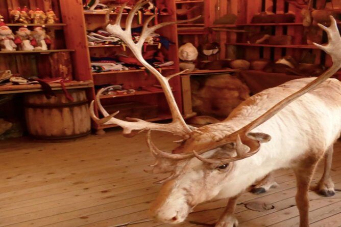 The North Cape, Reindeer and Sami Families Tour - Sami Family and Reindeer: Cultural Stop Meets Real-World Time
