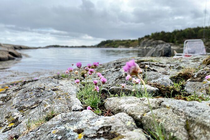 The Southern Norwegian Archipelago Experience - The island picnic: Norwegian snacks, berry squash, and maybe an open fire