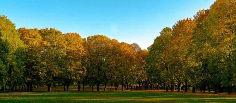 The Vigeland Park Walk with a Local in Oslo - How to plan for a smooth 1.5 hours in Frogner Park