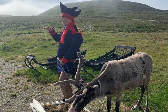 The VIP North Cape Tour - Key Highlights I’d Prioritize Before You Book