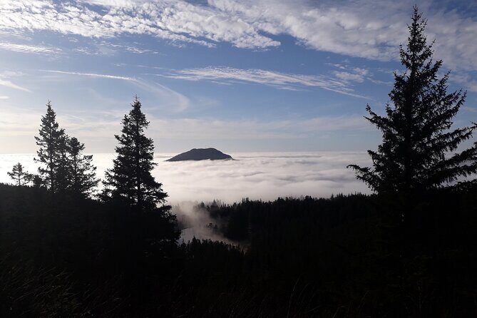 Three-summit hike in Bergen - The chocolate wild-berry gift: a small perk that feels very Norwegian